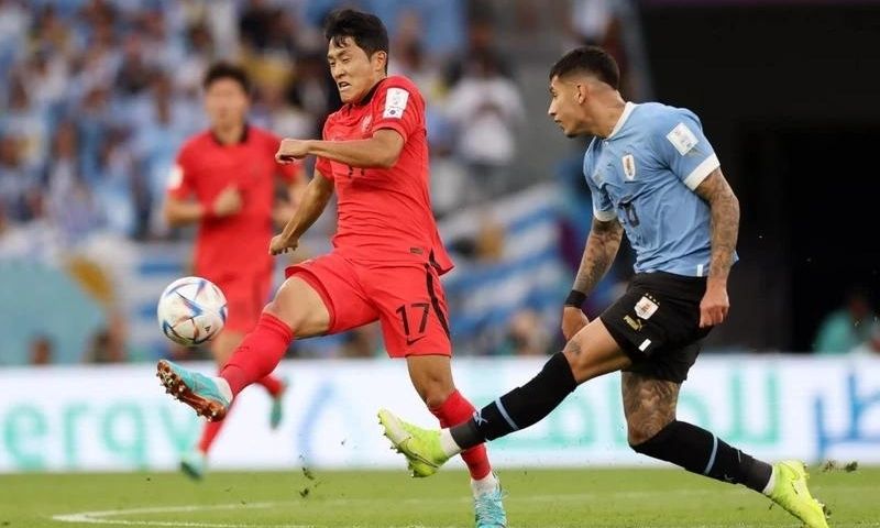 Chất lượng chuyên môn lịch sử đối đầu Uruguay Hàn Quốc